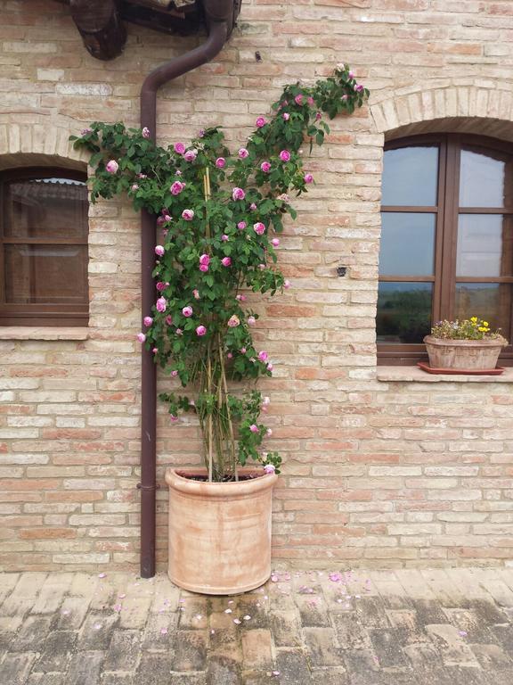 Agriturismo San Pierino มอนติโรนี ดาร์เบีย ภายนอก รูปภาพ